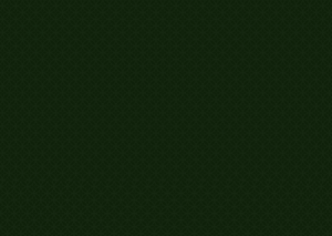 bg_img002